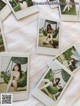 A bunch of polaroids that are sitting on a table.